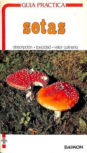 SETAS | UMBERTO NONIS