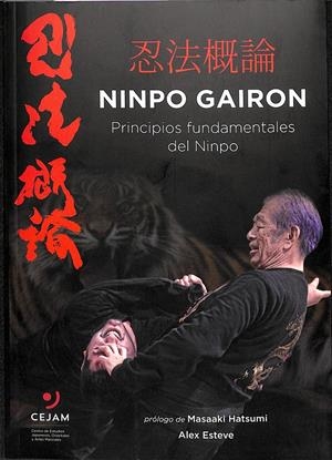 NINPO GAIRON PRINCIPIOS FUNDAMENTALES DLE NINPO  | NINPO GARION MASAAKI HATSUMI  ALEX ESTEVE
