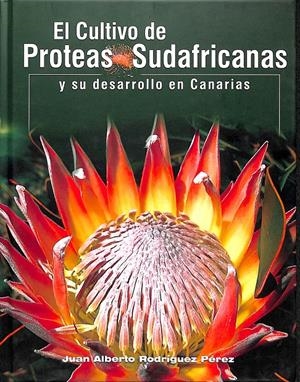 EL CULTIVO DE PRÓTEAS SUDAFRICANAS EN CANARIAS | RODRÍGUEZ PÉREZ, JUAN-ALBERTO