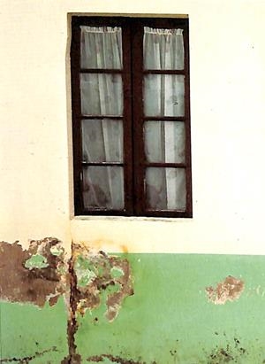 SI SÓN ROSES, FLORIRAN (CATALÁN) | PEDROLO, MANUEL DE