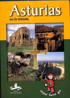 ASTURIAS EN LA MIRADA | ENRIQUE CAMPOMANES