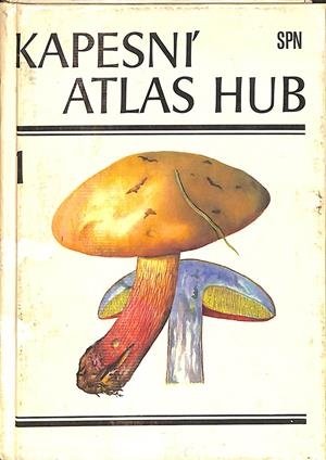 KAPESNI' ATLAS HUB (CHECO) | ANTONIN PRIHODA