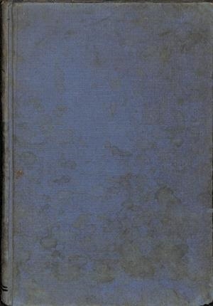 TRABAJOS EN EL HORNO | ING. HANS H.MÄNZ