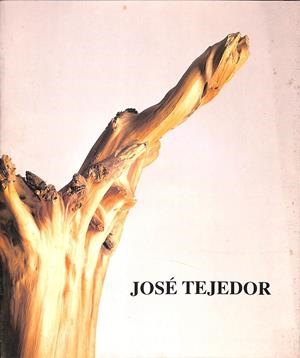 JOSÉ TEJEDOR DEL 5 DE MARÇ AL 6 D'ABRIL DE 1991 (CATALÁN) | JOSÉ TEJEDOR