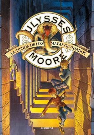 LA TIENDA DE LOS MAPAS OLVIDADOS (SERIE ULYSSES MOORE 2) | BACCALARIO, PIERDOMENICO