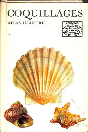 COQUILLAGES ATLAS ILLUSTRÉ (FRANÇES) | JAN LELLAK