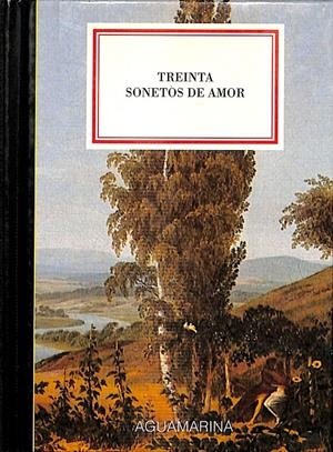 TREINTA SONETOS DE AMOR | V.V.A