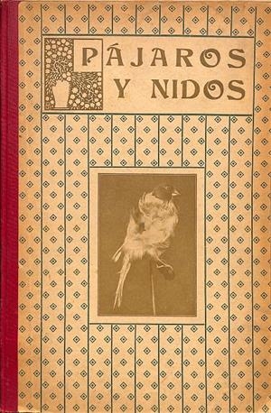 PÁJAROS Y NIDOS | LORENZO JOU Y OLIÓ