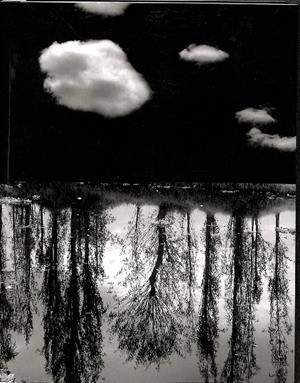 ESTACIONES, ESTACIONS, SEASONS (CASTELLANO, CATALÁN,INGLÉS) | JAVIER HINOJOSA