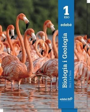 BIOLOGIA I GEOLOGIA 1 ESO. (CATALÁN) | EDEBÉ, OBRA COLECTIVA