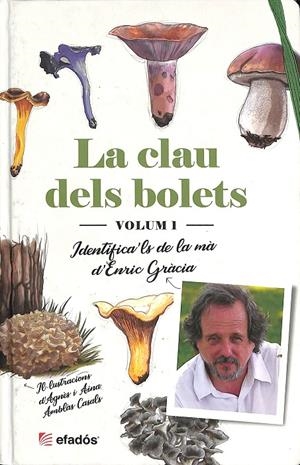 LA CLAU DELS BOLETS | GRÀCIA BARBA, ENRIC/AMBLÀS CASALS, AINA