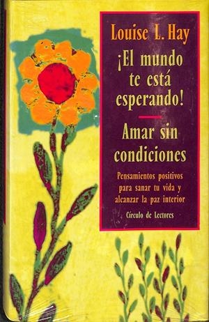 ¡EL MUNDO TE ESTÁ ESPERANDO!, AMAR SIN CONDICIONES  | LOUISE L. HAY 