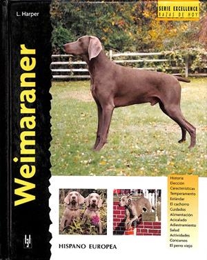 WEIMARANER | HARPER, LAVONIA