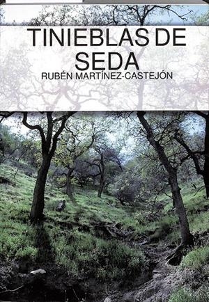 TINIEBLAS DE SEDA | RUBÉN MARTINEZ- CASTEJÓN