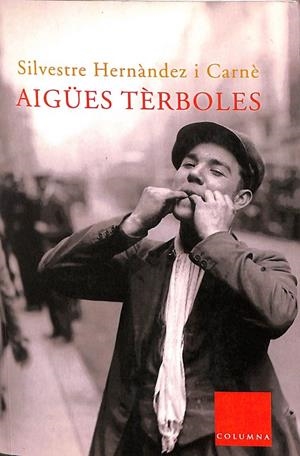 AIGÜES TÈRBOLES (CATALÁN) | HERNÁNDEZ CARNÉ, SILVESTRE