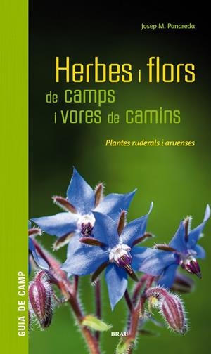HERBES I FLORS DE CAMPS I VORES DE CAMINS (CATALÁN) | PANAREDA CLOPÉS, JOSEP M