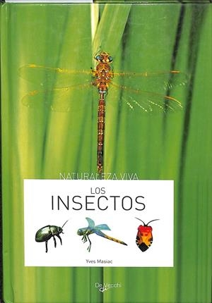 LOS INSECTOS | YVES MASIAC