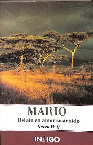 MARIO RELATO EN AMOR SOSTENIDO | PENZO GIACCA, WILMA