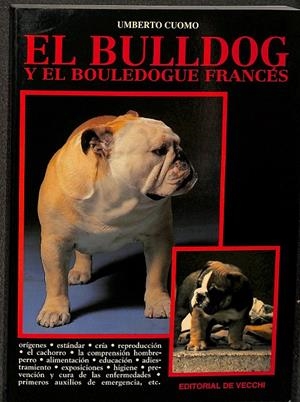 EL BULLDOG Y EL BOULEDOGUE FRANCES | UMBERTO UOMO