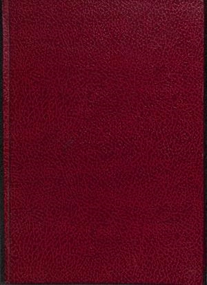 TREBOL. CIRCULAR INFORMATIVA DEL CLUB DEPORTIVO TREBOL. (ALELLA - MASNOU. VERANO 1993) | V.V.A