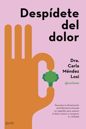 DESPÍDETE DEL DOLOR | MÉNDEZ LOSI, CARLA