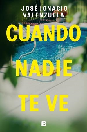 CUANDO NADIE TE VE | VALENZUELA, JOSÉ IGNACIO
