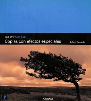 COPIAS CON EFECTOS ESPECIALES | BRUSELLE, JULIEN