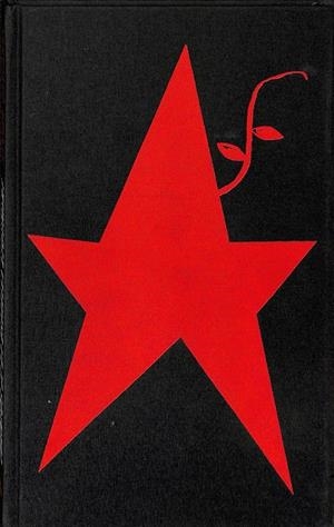 CUENTOS DE LA ESTRELLA LEGUMBRE | OLIVARES, JAVIER