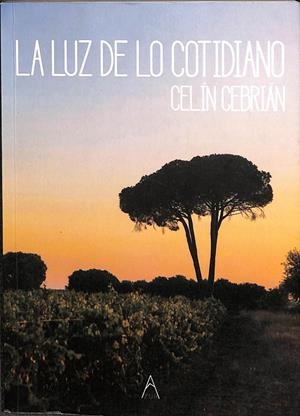 LA LUZ DE LO COTIDIANO | CELIN CEBRIÁN