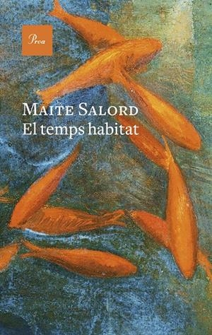 EL TEMPS HABITAT (CATALÁN) | SALORD, MAITE