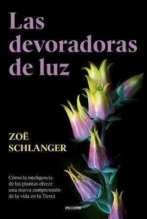 LAS DEVORADORAS DE LUZ | SCHLANGER, ZOË