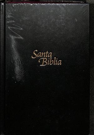 SANTA BIBLIA. NUEVA TRADUCCIÓN VIVIENTE. LETRA GRANDE. | V.V.A